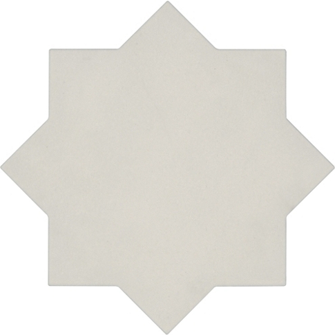 Gạch ốp tường MAXTOT MT4804
